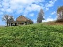  Propriété <b class='safer_land_value'>08 ha </b> Corrèze 