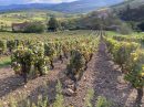  Propriété <b class='safer_land_value'>07 ha 30 a 77 ca</b> Rhône 