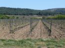  Propriété <b class='safer_land_value'>76 ha </b> Aude 