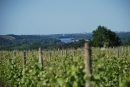  Propriété <b class='safer_land_value'>06 ha </b> Maine-et-Loire 