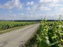  Propriété <b class='safer_land_value'>96 ha </b> Loire-Atlantique 