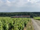  Propriété <b class='safer_land_value'>96 ha </b> Loire-Atlantique 