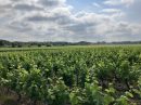  Propriété <b class='safer_land_value'>96 ha </b> Loire-Atlantique 