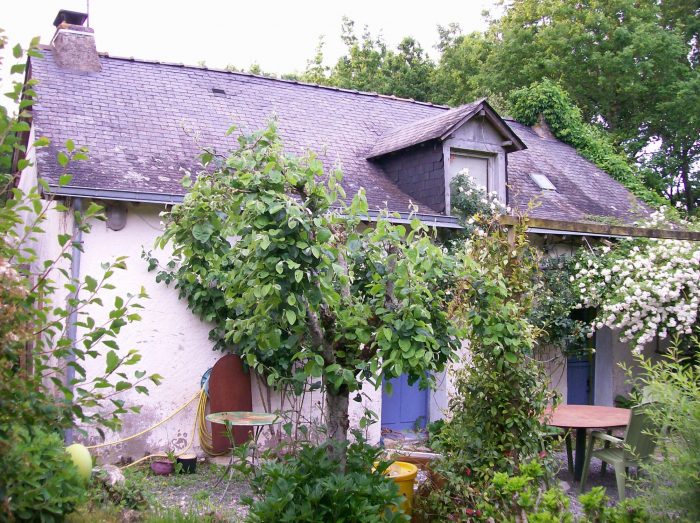 Maison ancienne à vendre, 3 pièces - Plessé 44630