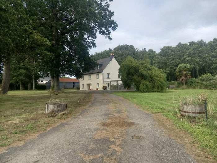 Maison traditionnelle à vendre, 9 pièces - Guipry-Messac 35480