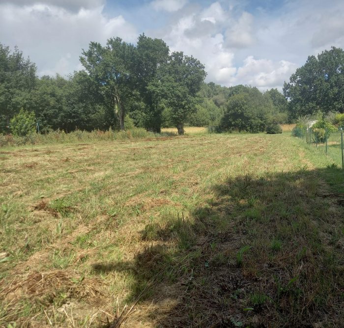 Terrain constructible à vendre, 1240 m² - Lieuron 35550