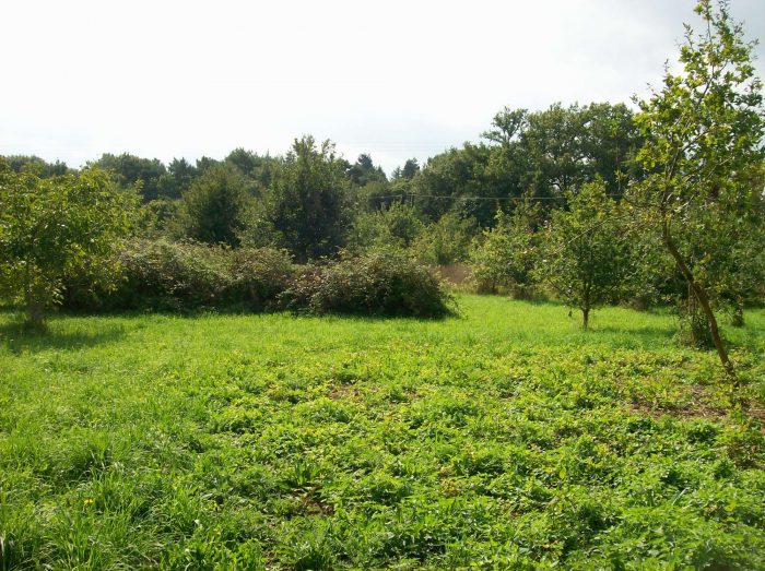 Terrain constructible à vendre, 9200 m² - Saint-Vincent-sur-Oust 56350