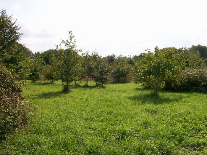 Terrain constructible à vendre, 9200 m² - Saint-Vincent-sur-Oust 56350