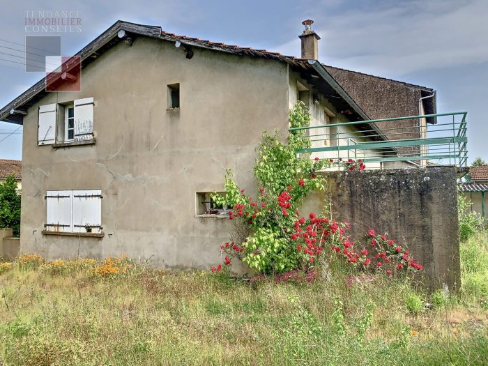 Vente Maison/Villa REPLONGES 01750 Ain FRANCE
