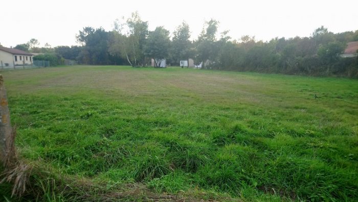 Terrain constructible à vendre, 34 a 83 ca - Talais 33590