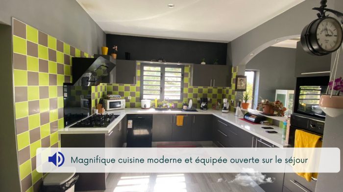 Maison contemporaine à vendre, 5 pièces - La Plaine-des-Palmistes 97431