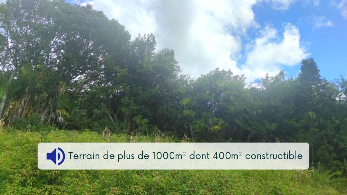 Terrain constructible à vendre, 1880 m² - Sainte-Marie 97438