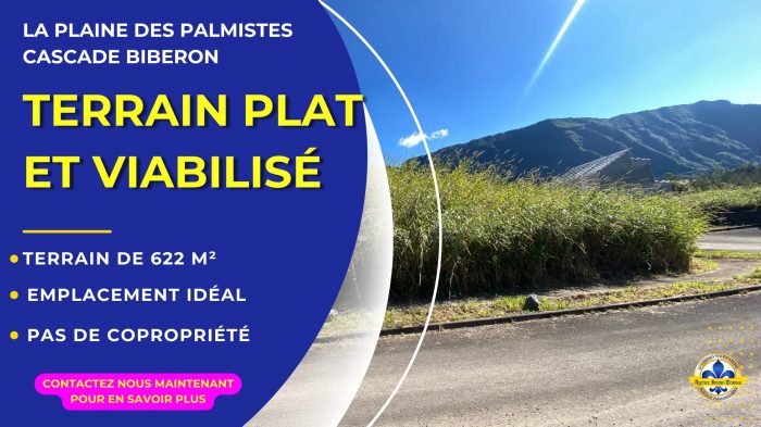 Terrain constructible à vendre, 622 m² - La Plaine-des-Palmistes 97431