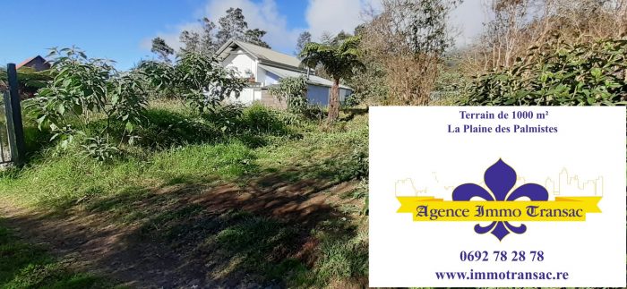 Terrain constructible à vendre, 1000 m² - La Plaine-des-Palmistes 97431