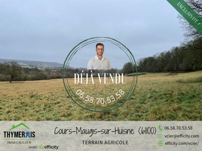 Terrain agricole à vendre, 06 ha 43 a 92 ca - cours-maugis-sur-huisne 61100