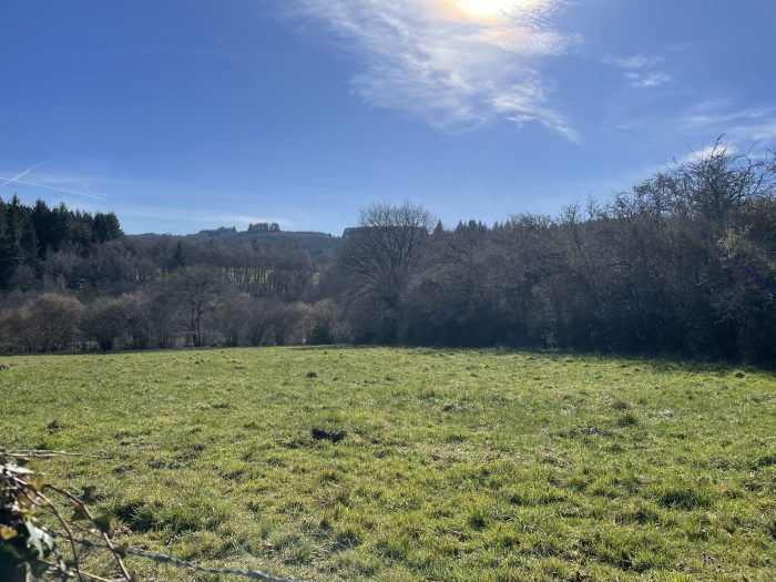 Terrain à vendre, 14 ha 23 a 80 ca - Peyrat-le-Château 87470