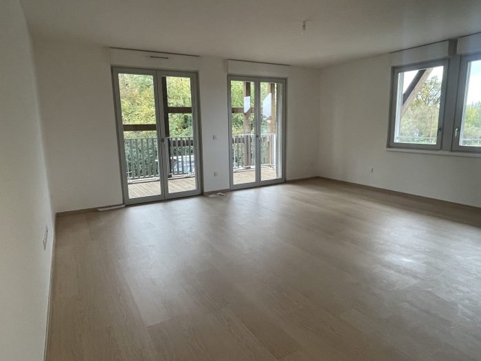 Appartement à louer, 3 pièces - Ostwald 67540