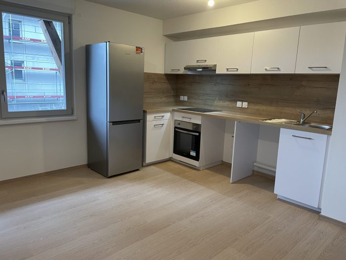 Appartement à louer, 3 pièces - Ostwald 67540