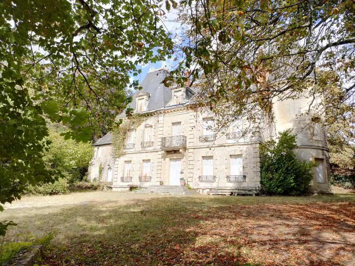 Château à vendre, 20 pièces - Varennes-Vauzelles 58640