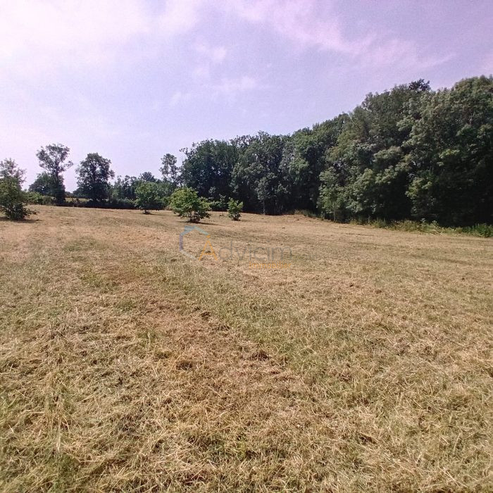 Vente Terrain MOSNAY 36200 Indre FRANCE