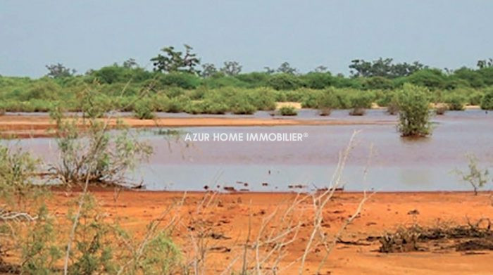 Terrains en bord de lagune à Guéréo