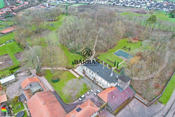 Manoir à vendre, 20 pièces - Pouilly 57420