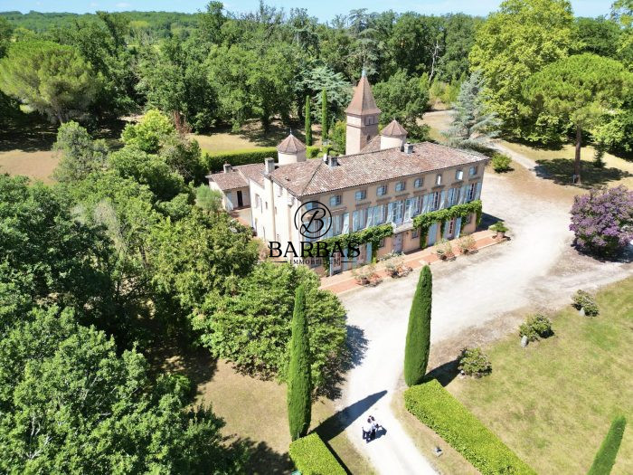 Château à vendre, 24 pièces - Saint-Lieux-lès-Lavaur 81500