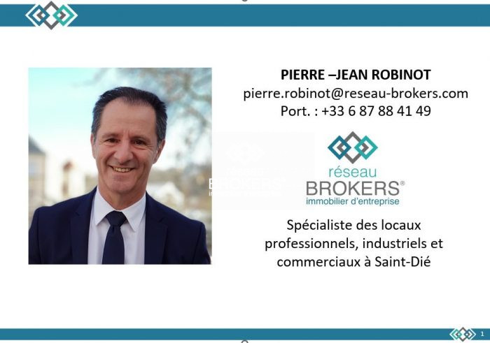 Local professionnel à vendre, 3025 m² - Saint-Dié-des-Vosges 88100