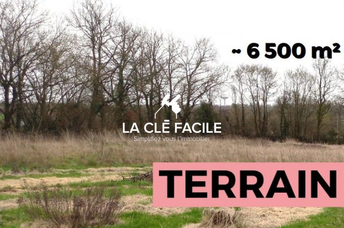 Terrain constructible à vendre, 6540 m² - Rives de l'Yon 85310