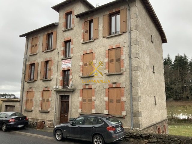 Immeuble à vendre, 300 m² - Montfaucon-en-Velay 43290