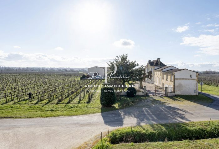 Photo Saint-Émilion - Domaine viticole de 10,78 ha - Saint-Emilion Grand Cru et Lalande de Pomerol - Bio image 6/16