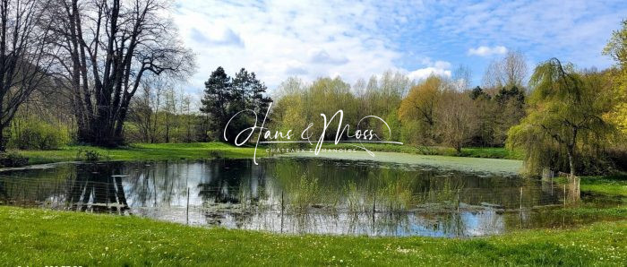 Château à vendre, 10 pièces - Saint-Omer 62500