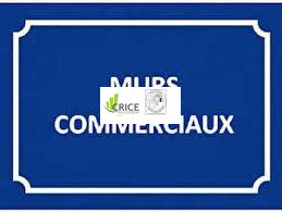 Local commercial à vendre, 155 m² - Vaux-sur-Mer 17640