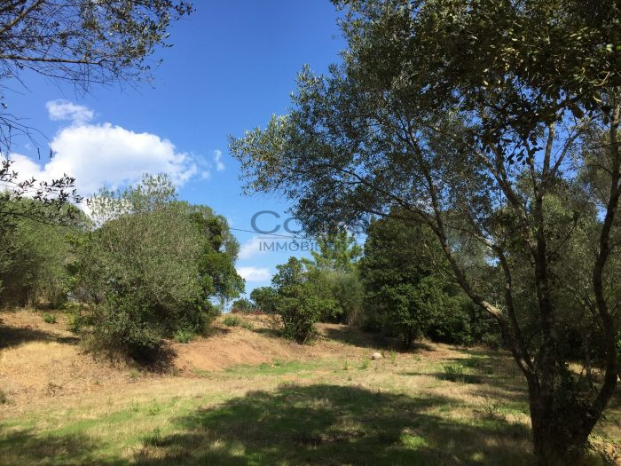 Terrain constructible à vendre, 39 a 20 ca - Porto-Vecchio 20137