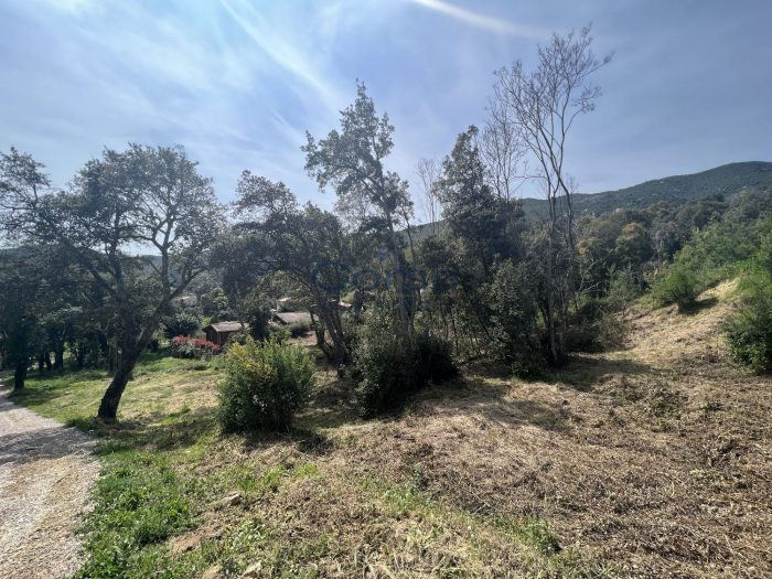 Terrain constructible à vendre, 22 a 09 ca - Valle-di-Mezzana 20167