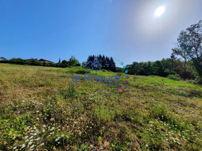 Terrain constructible à vendre, 14 a 78 ca - Arcinges 42460