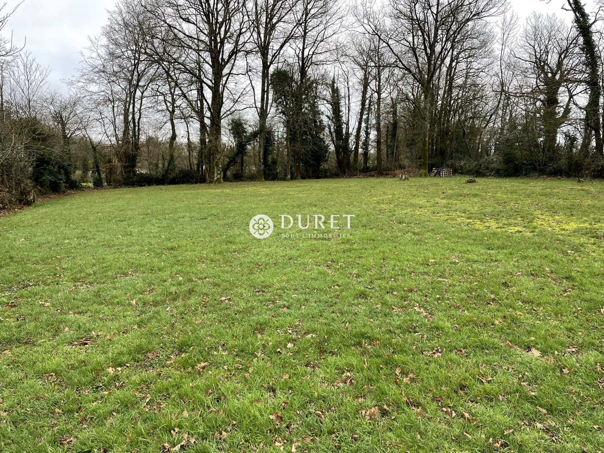 Vente Terrain BEAULIEU-SOUS-LA-ROCHE 85190 Vende FRANCE