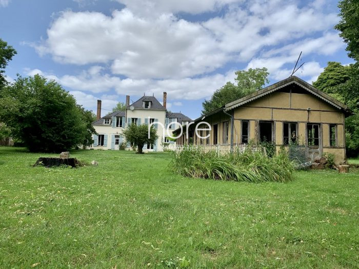 Maison ancienne à vendre, 9 pièces - Brienon-sur-Armançon 89210