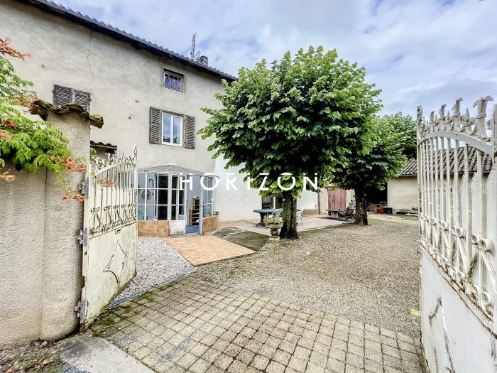 Maison bourgeoise à vendre, 7 pièces - Saint-Didier-sur-Chalaronne 01140