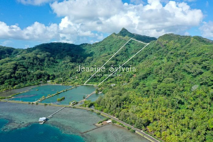 Terrain agricole à vendre, 114795 m² - Tahaa 98733