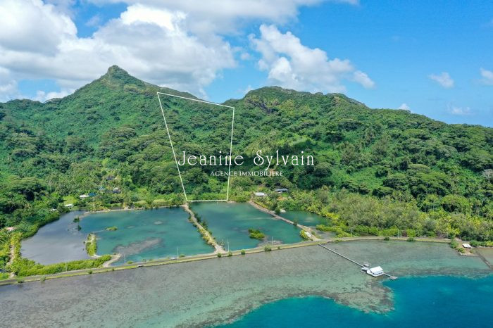 Terrain agricole à vendre, 114795 m² - Tahaa 98733