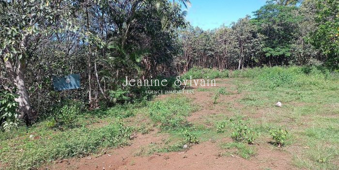 Terrain constructible à vendre, 6673 m² - Hiva Oa 98741