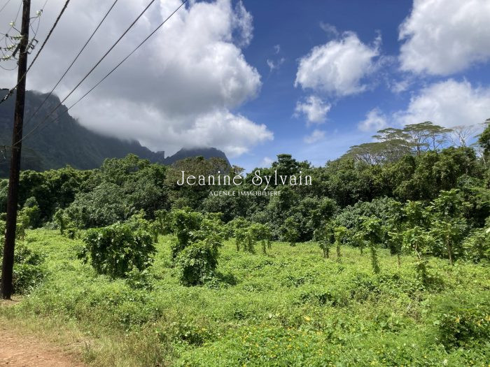 Terrain constructible à vendre, 800 m² - Moorea-Maiao 98728