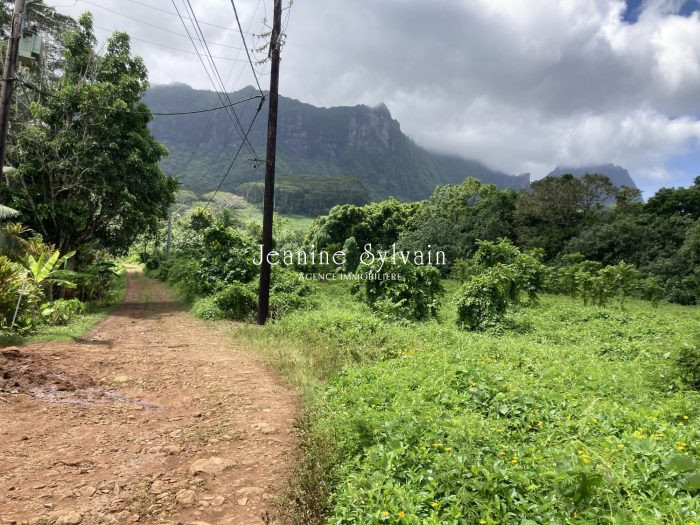 Terrain constructible à vendre, 800 m² - Moorea-Maiao 98728