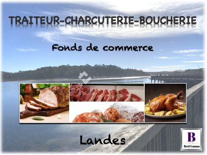 Vente Commerce ONDRES 40440 Landes FRANCE