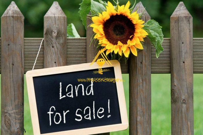 Terrain agricole à vendre, 5065 m² 