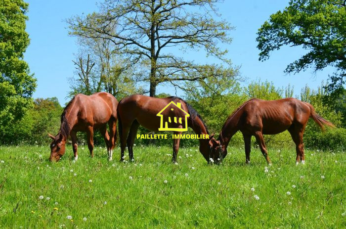 Ferme à vendre, 2 pièces - Saint-Jouin-Bruneval 76280