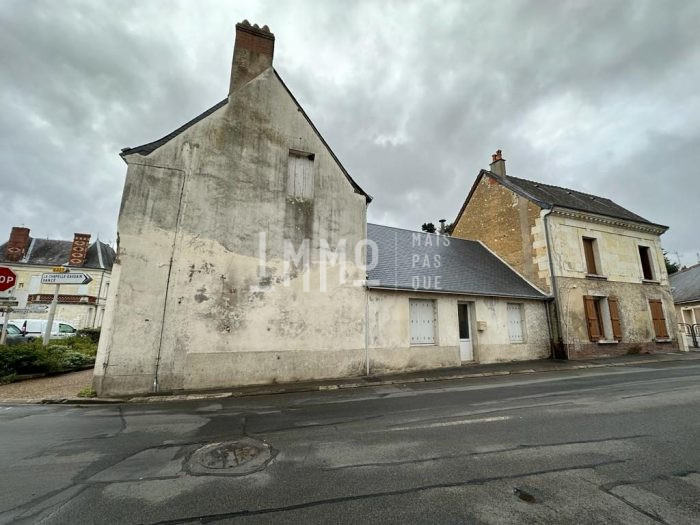 Immeuble à vendre, 304 m² - Loir en Vallée 72310