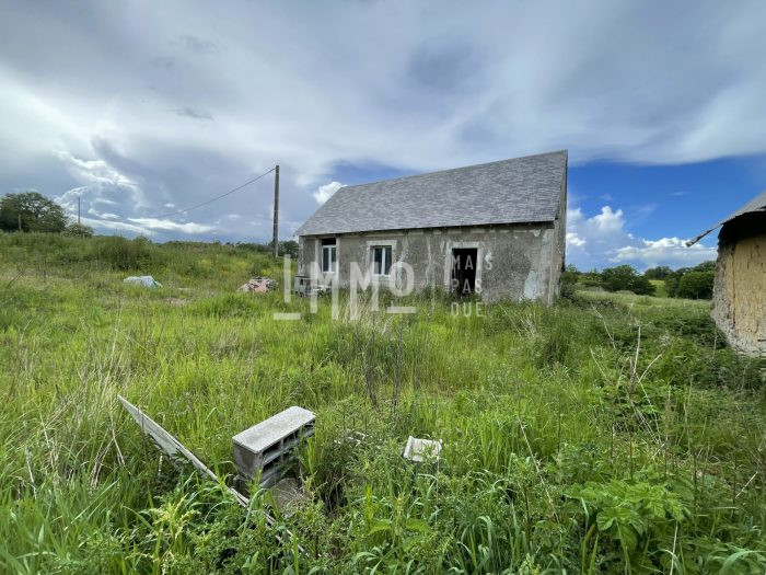 Maison ancienne à vendre, 1 pièce - Courdemanche 72150