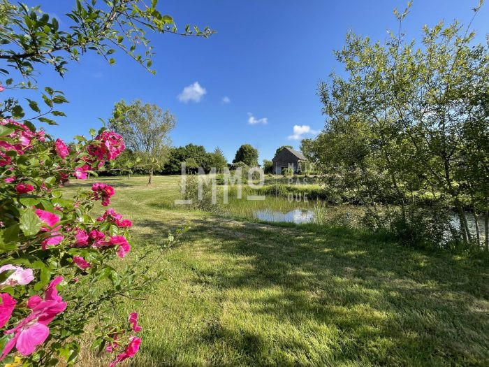 Maison de campagne à vendre, 4 pièces - Loir en Vallée 72310